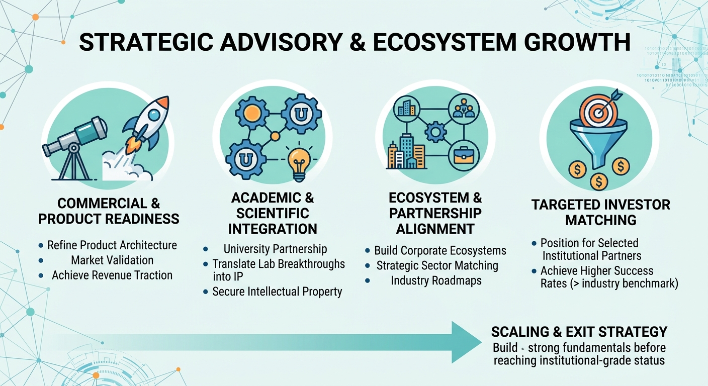 Strategic Advisory Beyond Traditional Venture Capital for Scale-Ups and Research Spin-Outs Pakistan